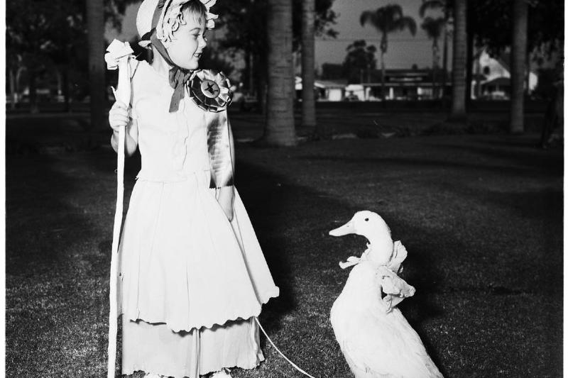 Little girl dressed as Bo Peep standing with a goose at the Anaheim Halloween Festival in 1951