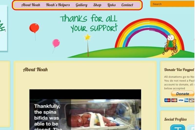 a screenshot of the hugs for noah website