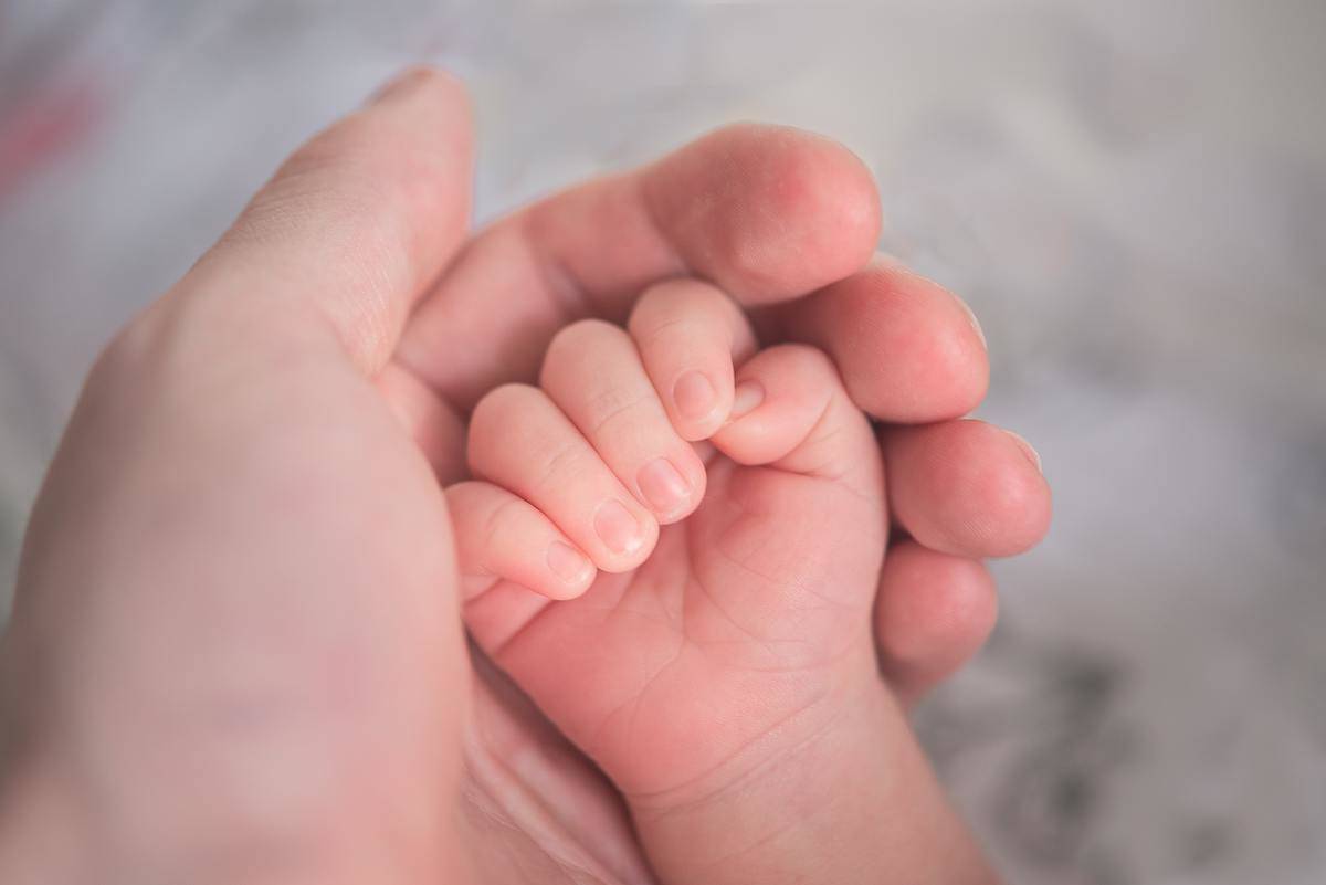 An adult hand holding a baby hand.