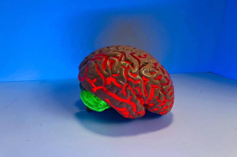 A lit-up plastic brain on a blue background.