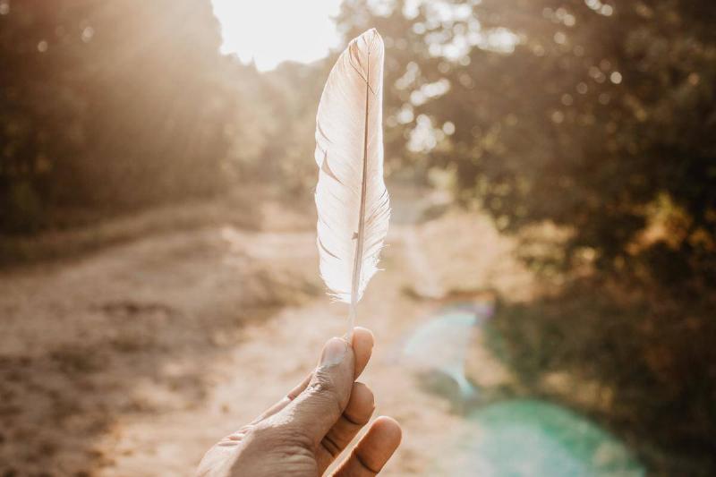 A hand holding up a white feather in a forest.