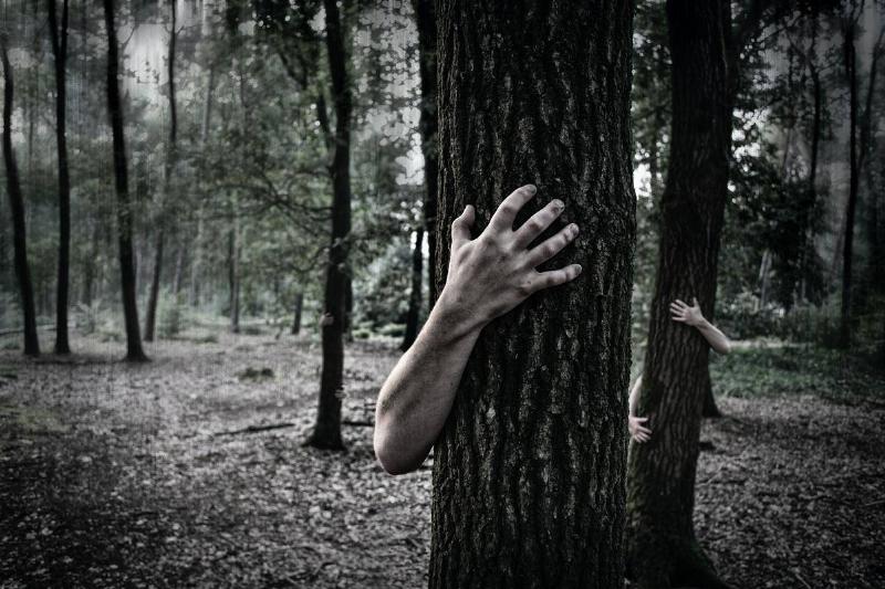 A creepy hand gripping the trunk of a tree.