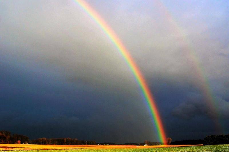 A rainbow in the sky above a field of grass.