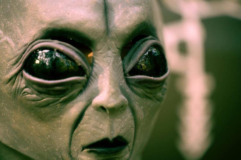 A close-up of a green alien face.