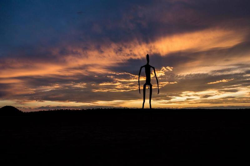 A silhouette of an alien-like figure standing in front of a sunset.