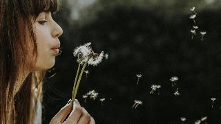 A woman blowing the petals off of a dandelion weed.