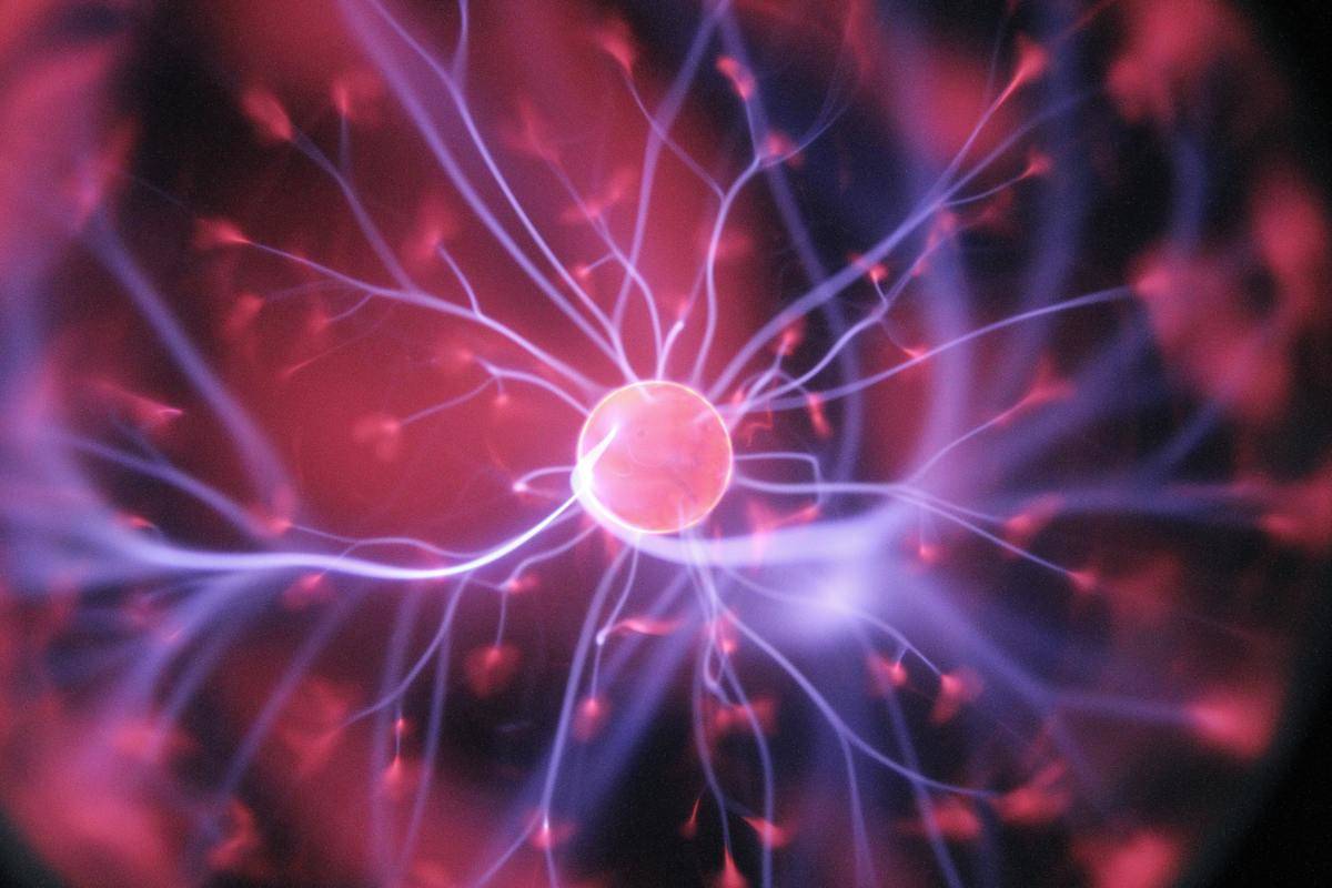 purple brain neuron