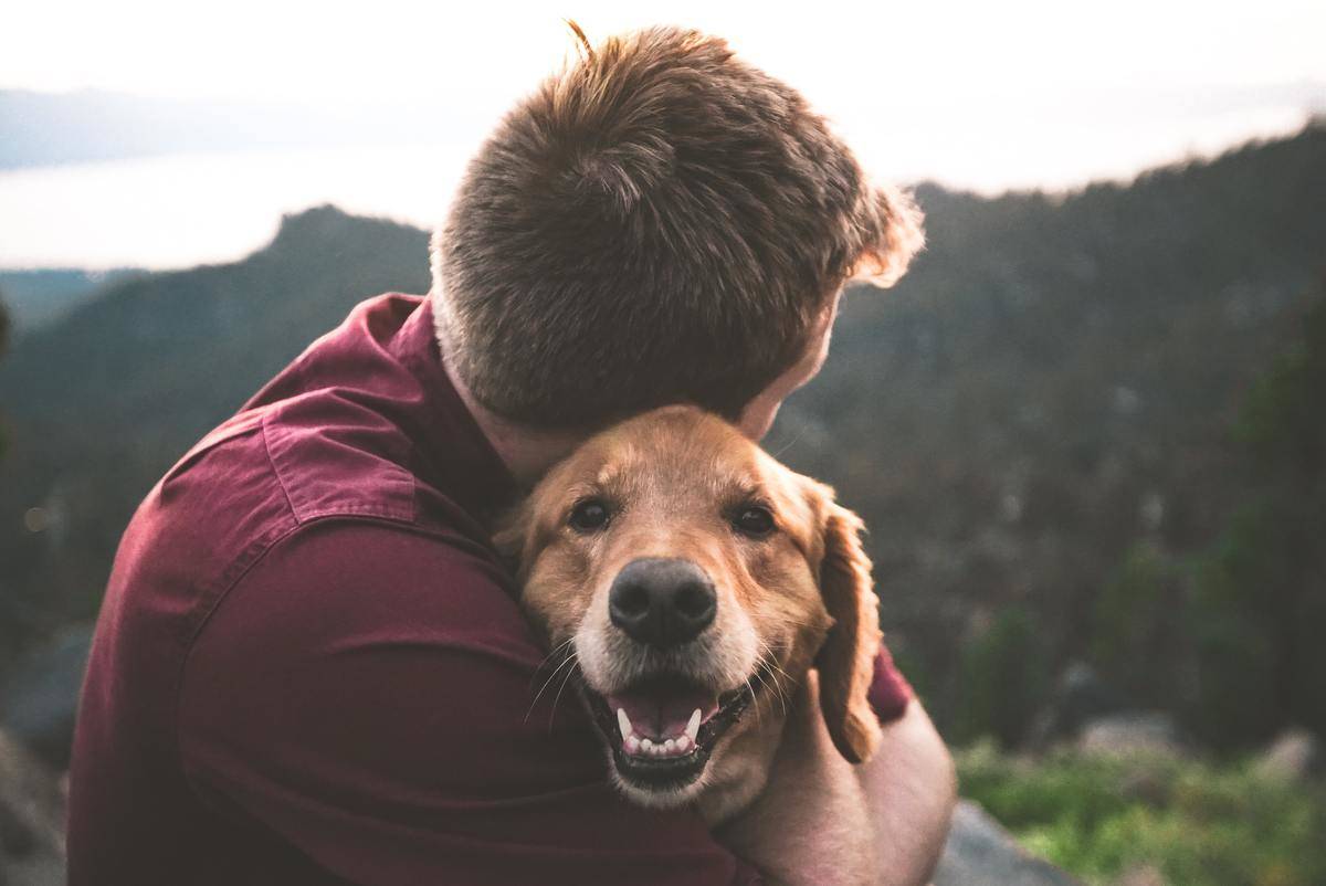 man hugging dog outdoors while dog looks at the camera