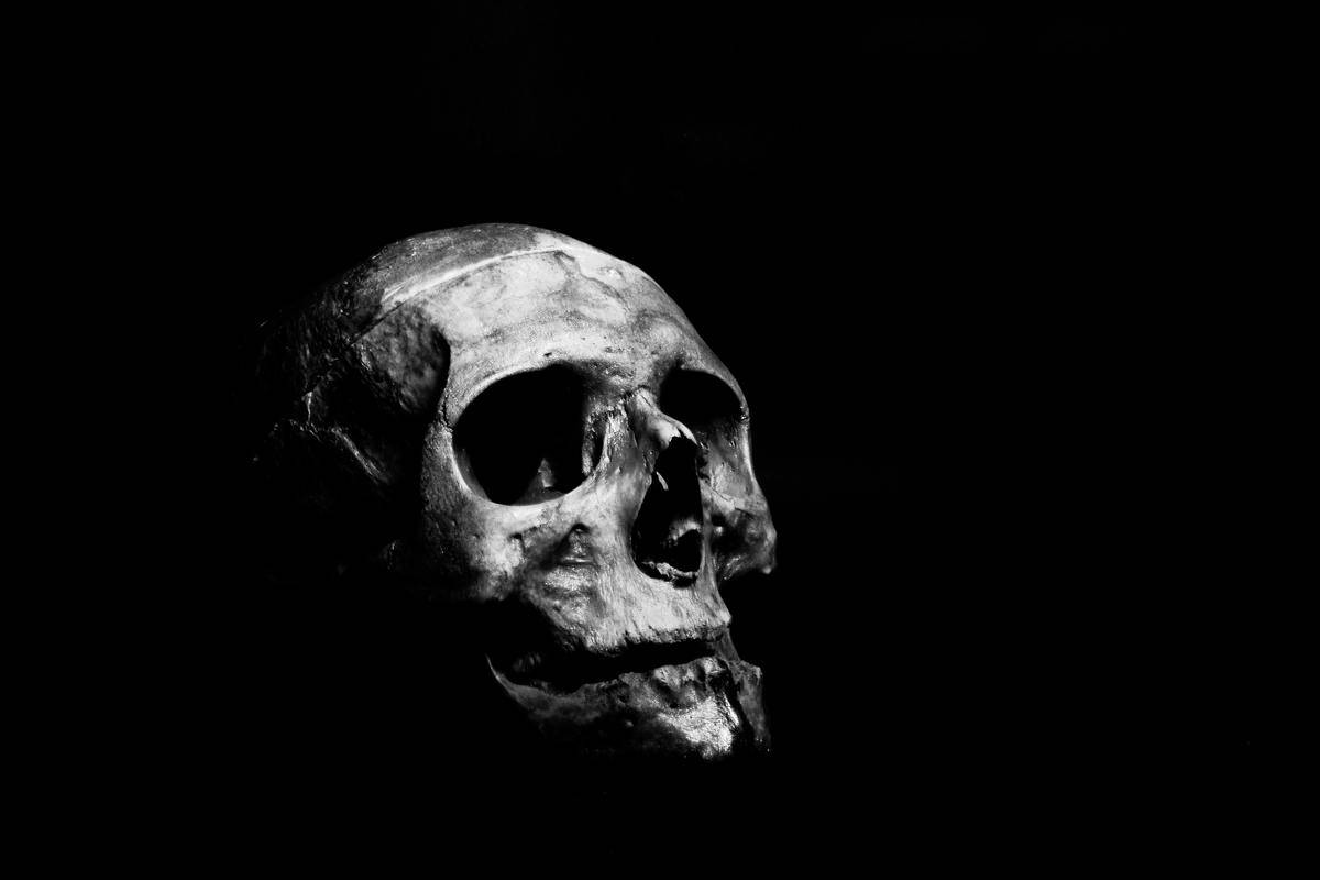 skull on black blackground