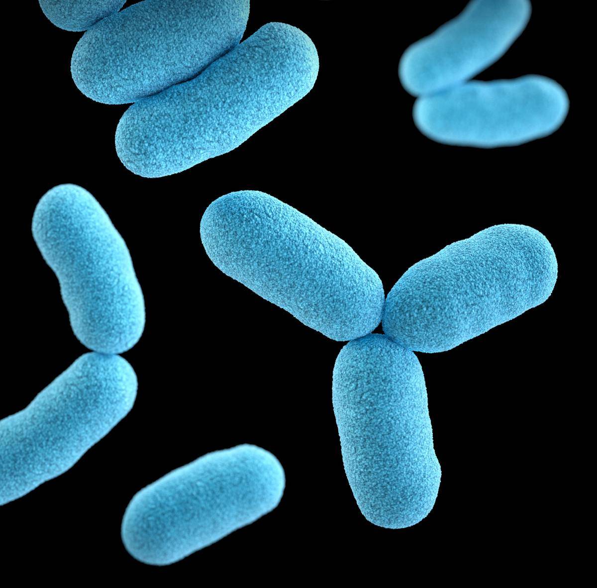 Blue bacteria closeup