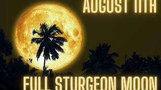 couple ages (800 × 533 px) - 2022-08-09T121332.646