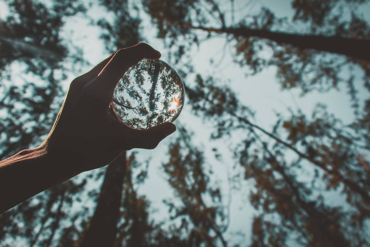 /crop-man-with-reflecting-crystal-ball-in-forest