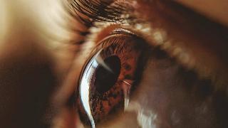 close up of brown eye looking up