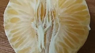 Jesus figure on clementine