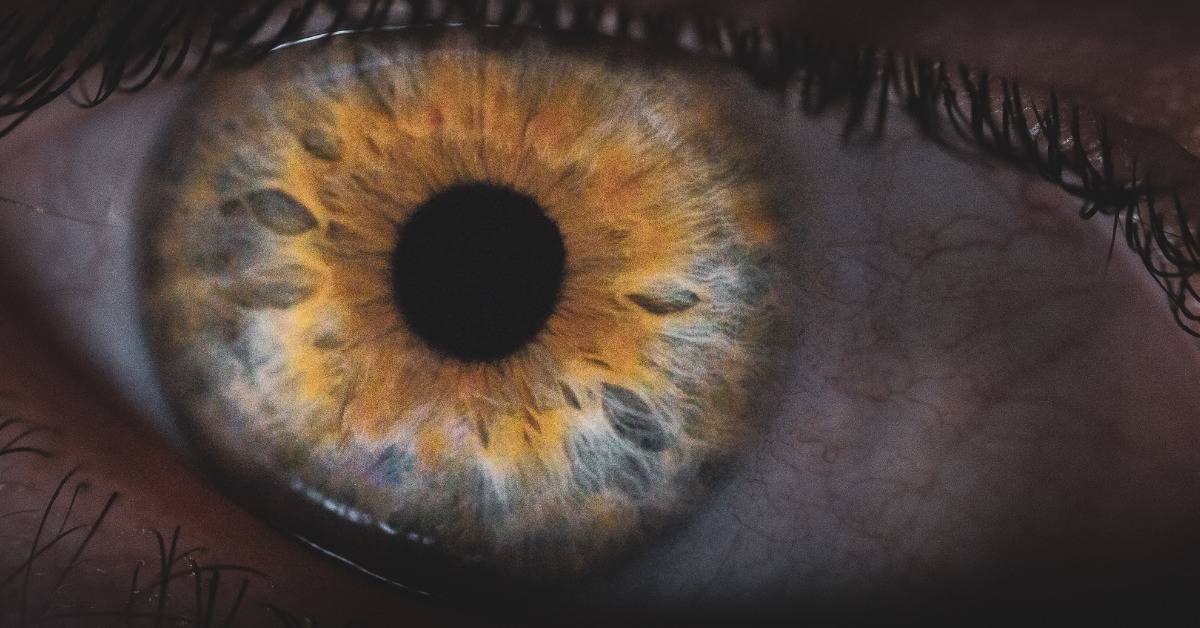 close up of brown eye with blue specles