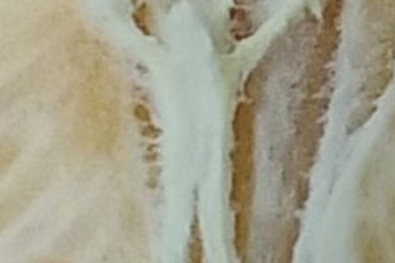 close up on jesus figurine on clementine