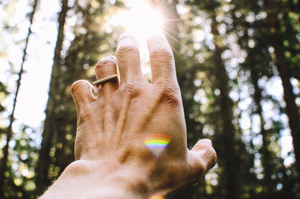 hand reaching for light in the trees in forest