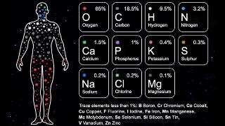 Nearly all the elements in the human body were made in a star. Generally its believed we come through several supernovas.]