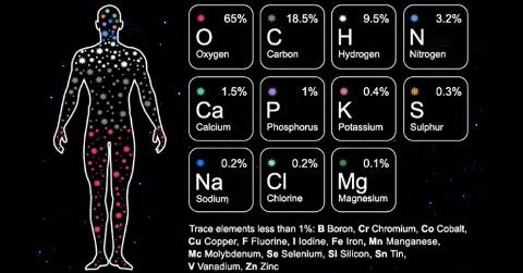 Nearly all the elements in the human body were made in a star. Generally its believed we come through several supernovas.]