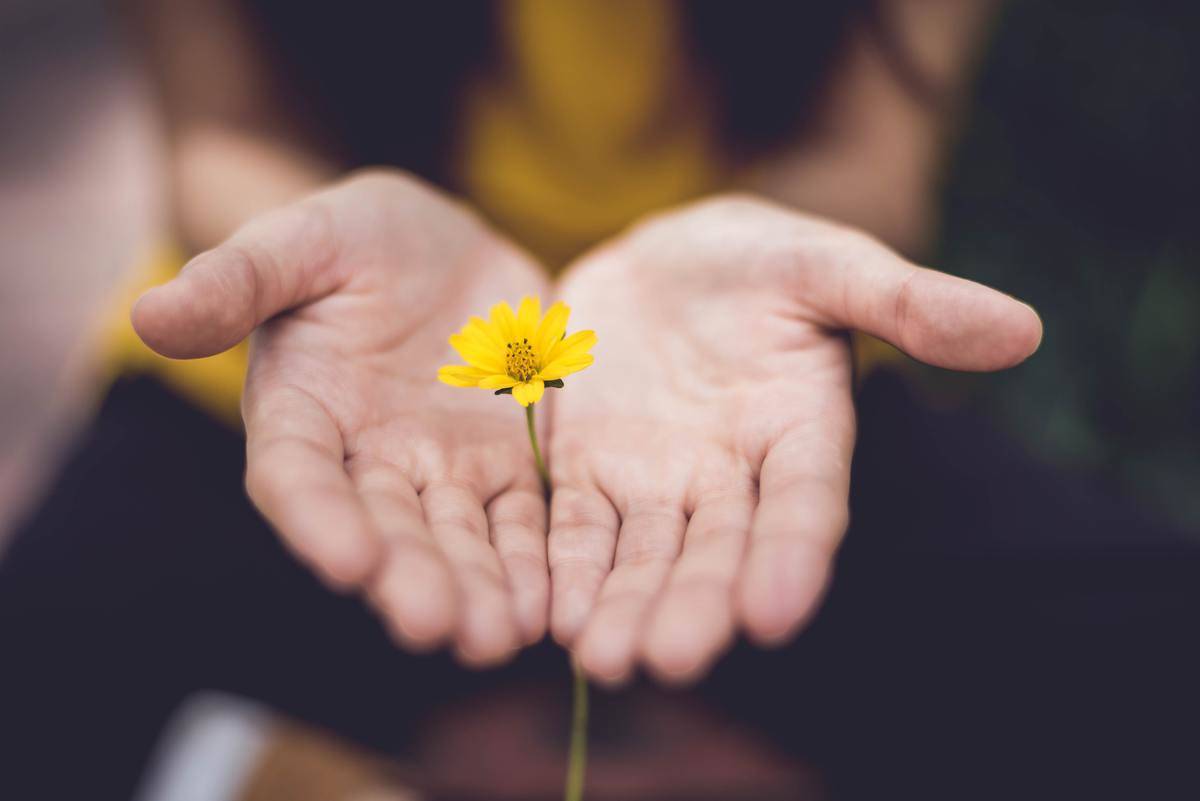 woman opens up her hand holding yellow flower in between