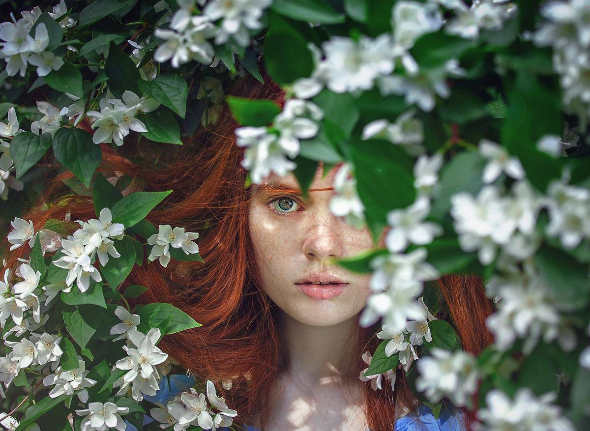 woman with red hair behind white daisies