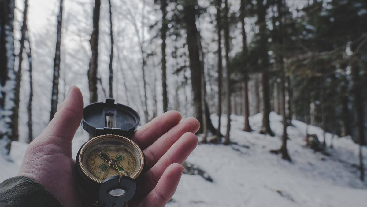 erson-holding-compass-in-forest-