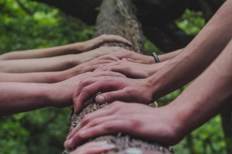 multiple hands holding the same branch