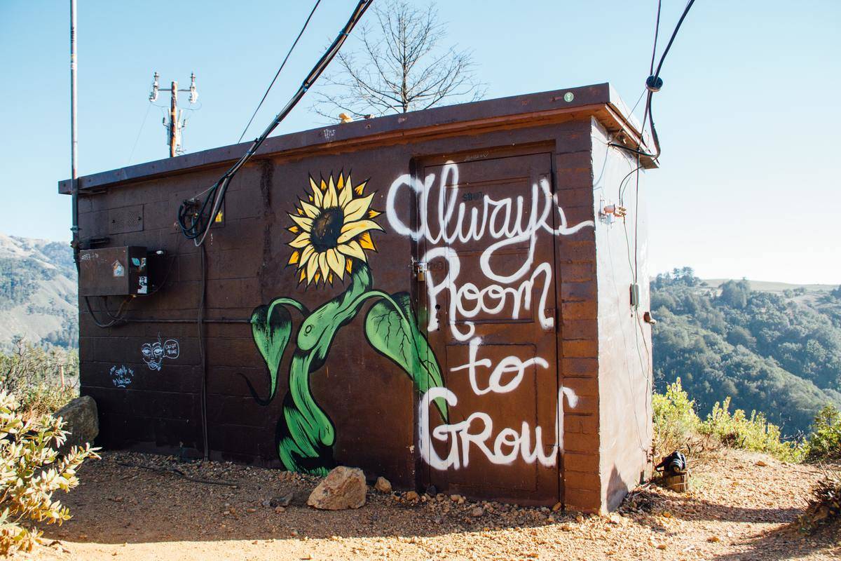 A brown shed with a painting of a sunflower on it as well as the words, 