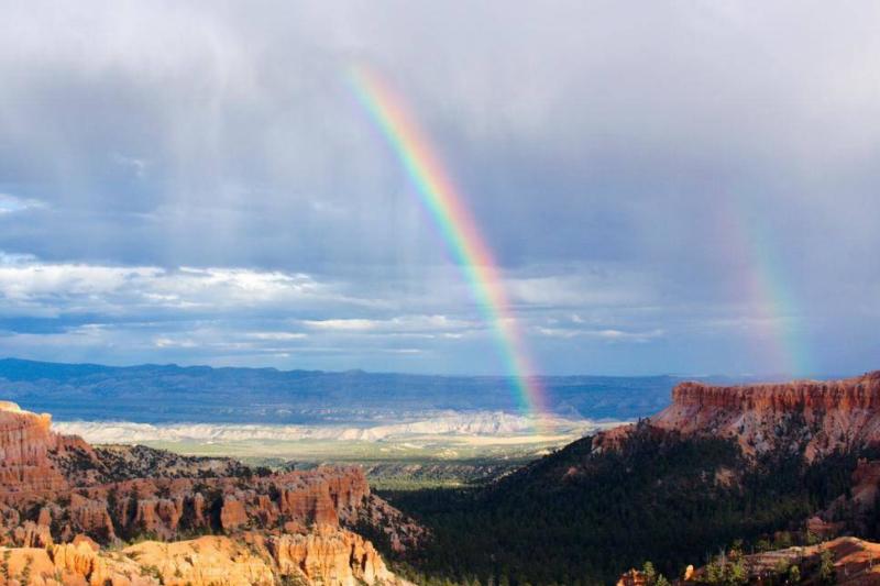 A rainbow above a tree-filled canyon.