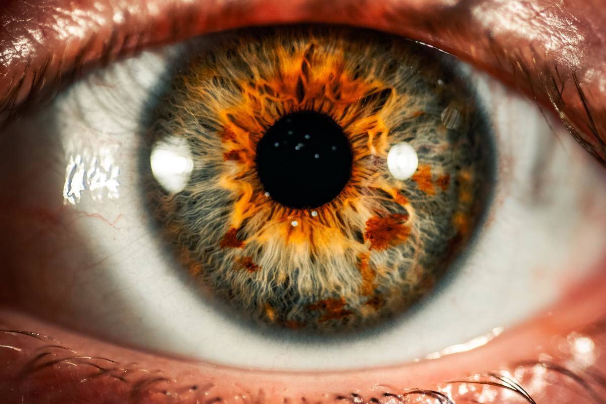 A closeup of someone's brown eye.