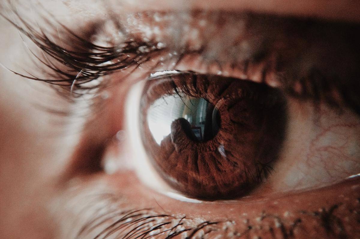 A closeup of someone's brown eye. 