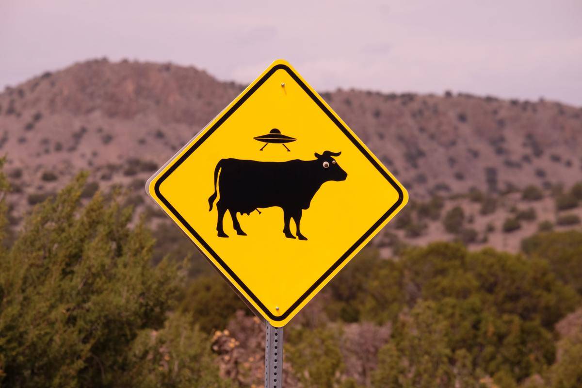 A road sign of a UFO hovering above a bull.