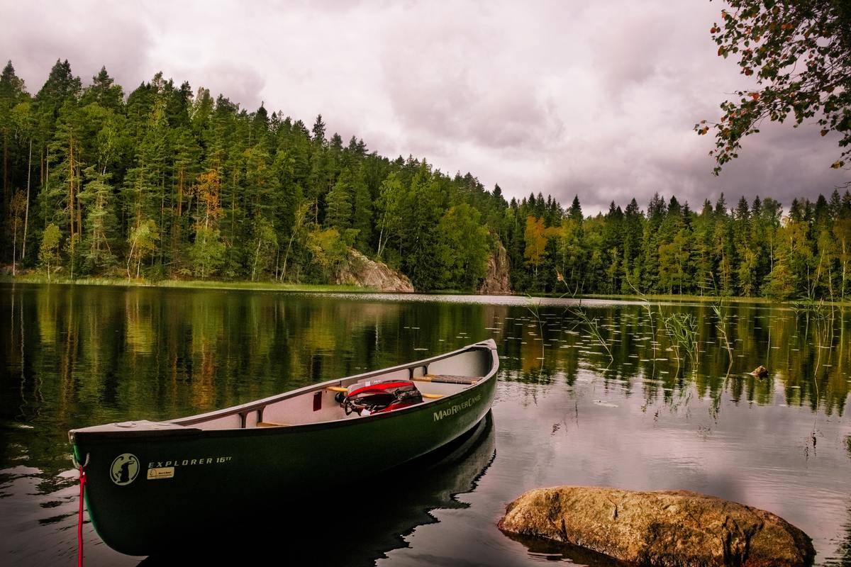 A canoe sitting in the water, a lush forest on the other side.