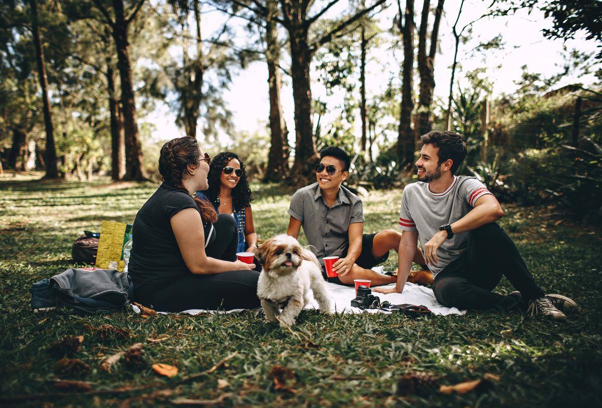 A group of friends having a picnic in a park, all sitting on a blanket while chatting.