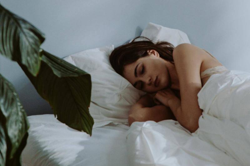 A girl sleeping in her bed with white sheets, a plant in the foreground.