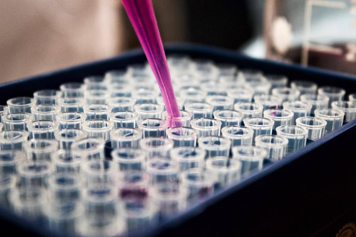 A dropper filled with bright pink liquid depositing its contents into a tray of test tubes.