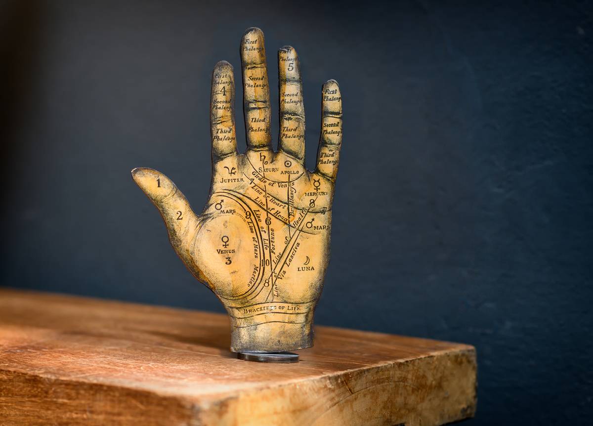 Old Tarot hand showing the zones and palmistry markings of the palm and fingers standing upright on a wooden shelf against a dark wall with copyspace