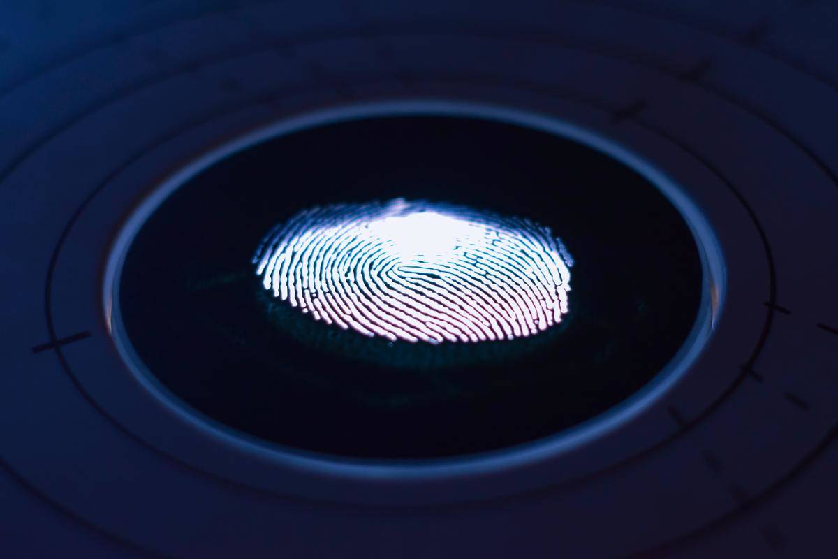 A fingerprint being lit up from below.