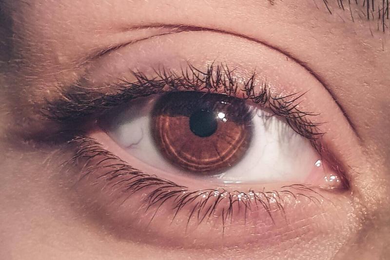 A closeup of someone's brown eye.