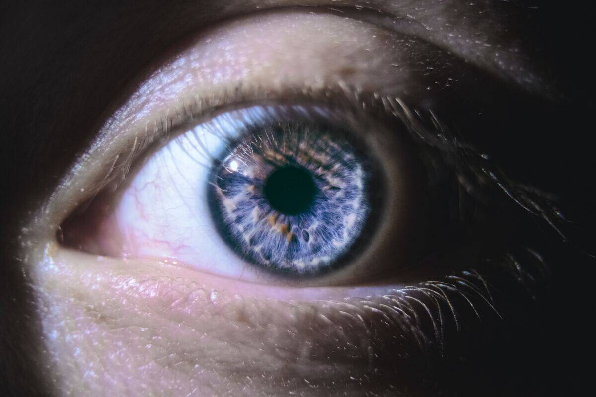 A closeup of someone's blue eye.