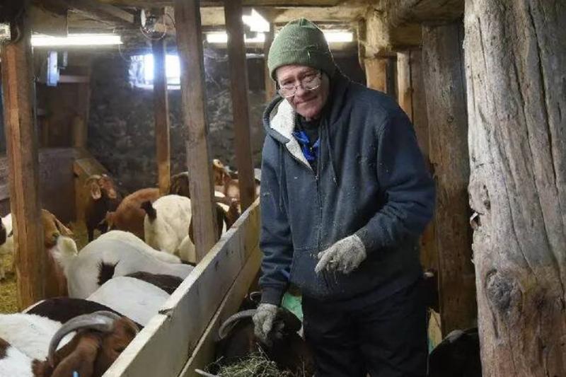 Brian tending to some goats.