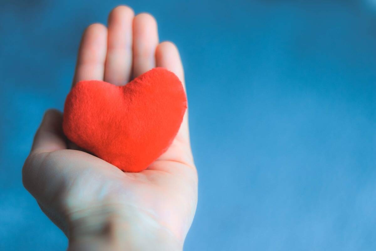 Close up shot of hand holding soft red heart on blue background.