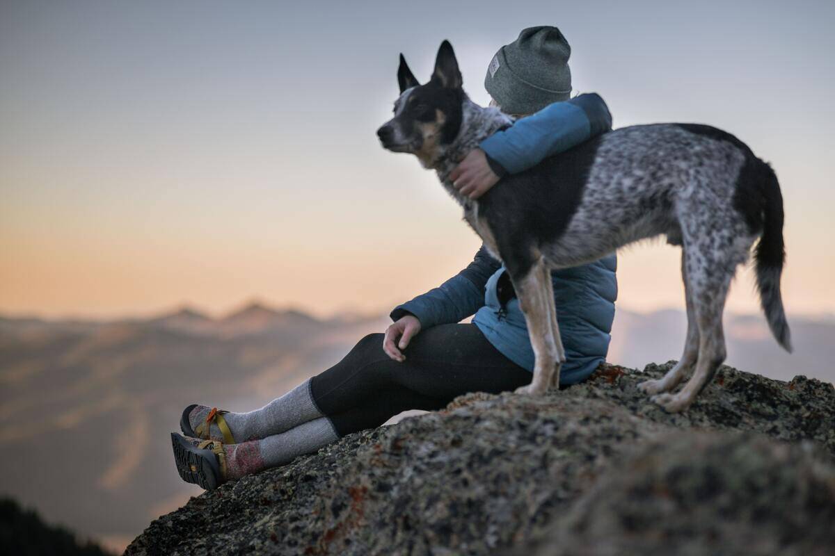 Someone sitting with their dog at the top of a mountain hike.