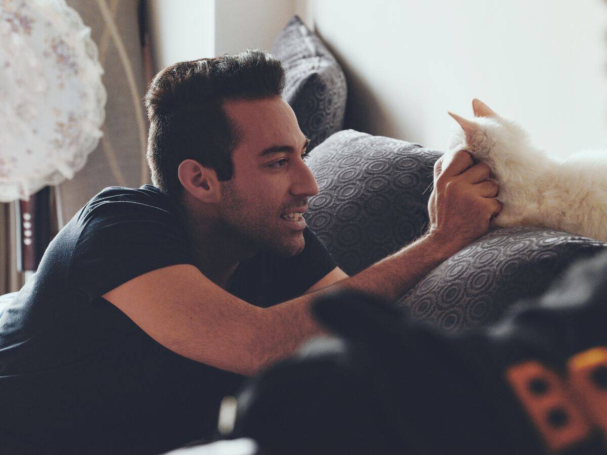 A man petting a white cat, both sitting on a couch.