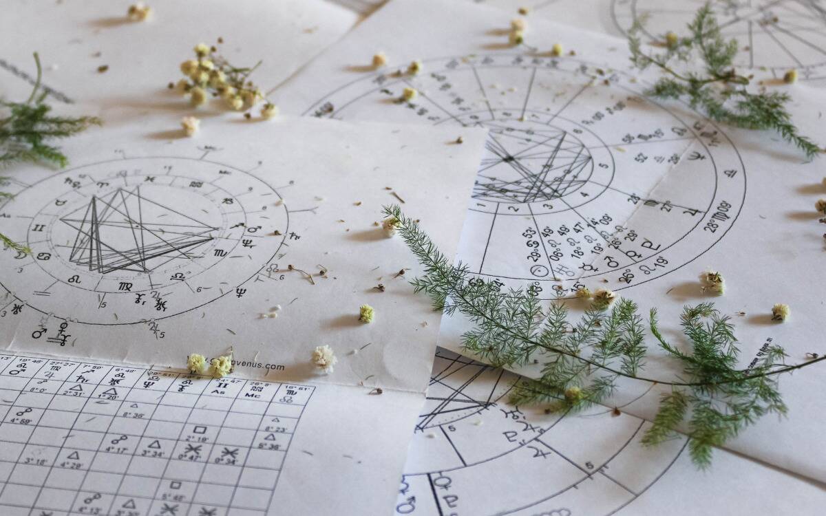 Printouts of astrological charts with herbs and flowers scattered on top of them.