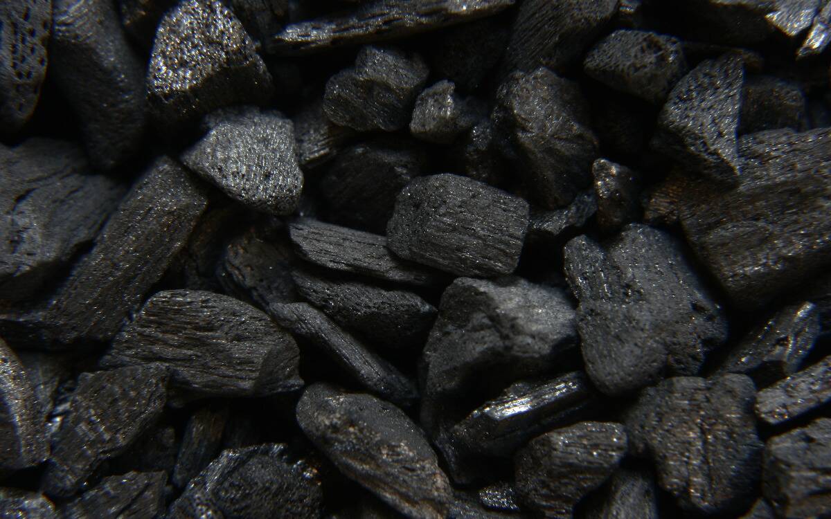 Pieces of black charcoal.