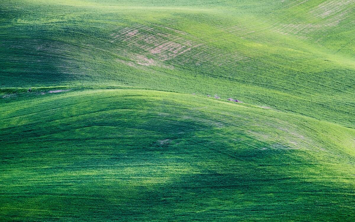 Rolling green hills.