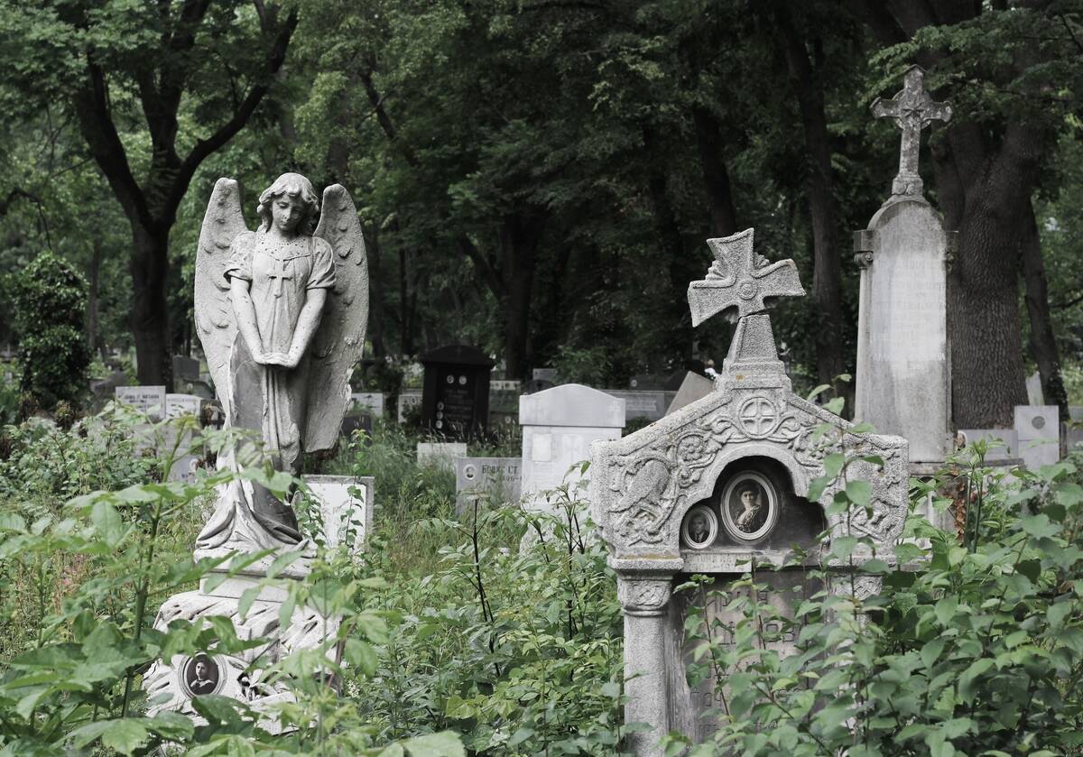 Headstones among a grassy, overgrown cemetery.