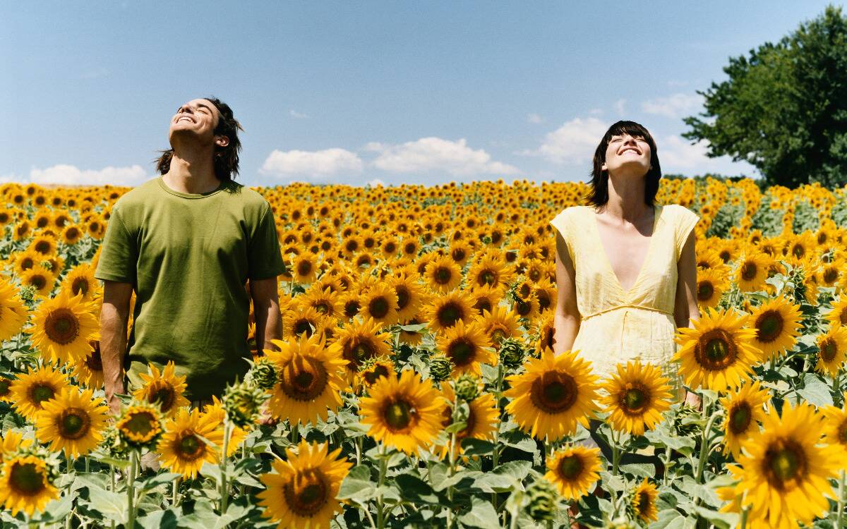 A man and a woman standing in a field of sunflowers, a few feet apart, looking up.