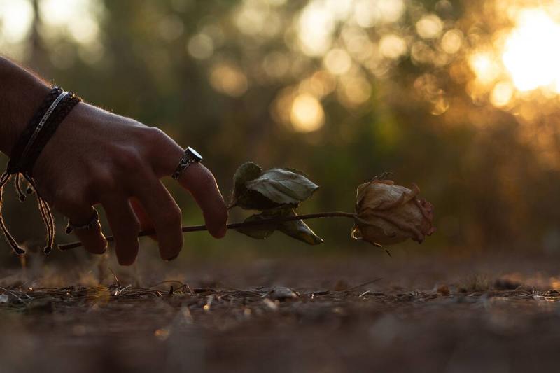 woman's hand reaching into frame to lay rose on ground over bed of leaves